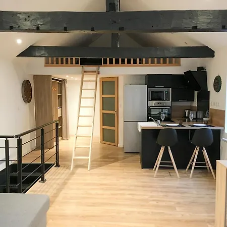 Loft Lumineux Hyper-centre - Canal - Tv Connectee * أميا